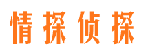 陆良情探私家侦探公司